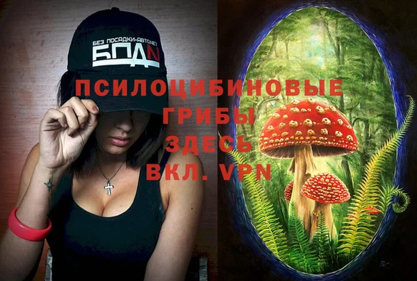 спайс Няндома