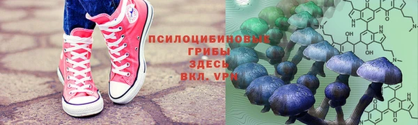 соль ск Аркадак