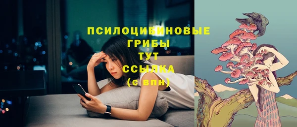 соль ск Аркадак