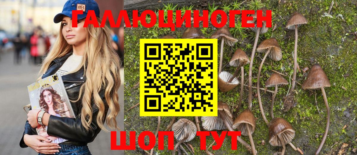 Псилоцибиновые грибы Psilocybine cubensis Аша